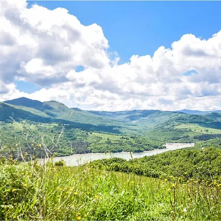 Nunzia * 피스티치