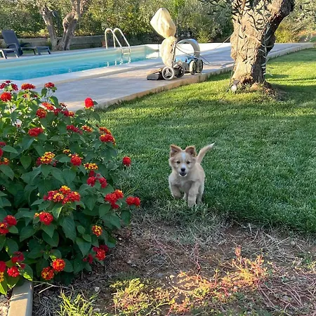 Hébergement de vacances Nunzia Pisticci
